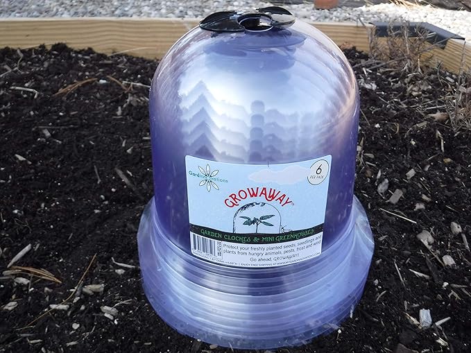 6-Pack! GrowAway Small Reusable Plastic Mini Greenhouse, Garden Cloche Dome, Plant Covers Frost Guard Freeze Protection for Plants Outdoors, Garden Tools, Garden Accessories - 7.87" Diam. x 6.69" H - Image 6