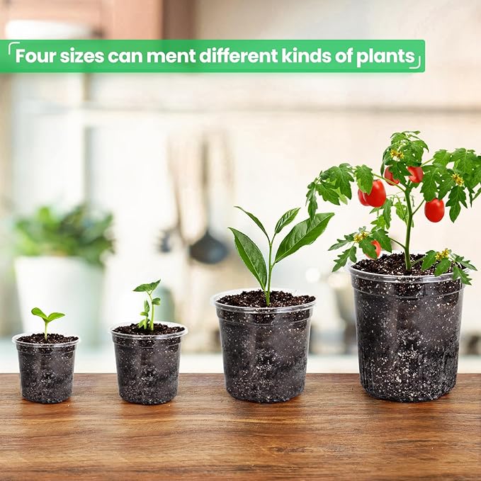 36 Packs 7/5/4/3.5 Inch Reinforced Clear Nursery Pots with Drainage Hole, Transparent Variety Pack Plastic Plant Pot Seedling Planter for Vegetable Propagation, Root Cutting, Seed Starting - Image 6