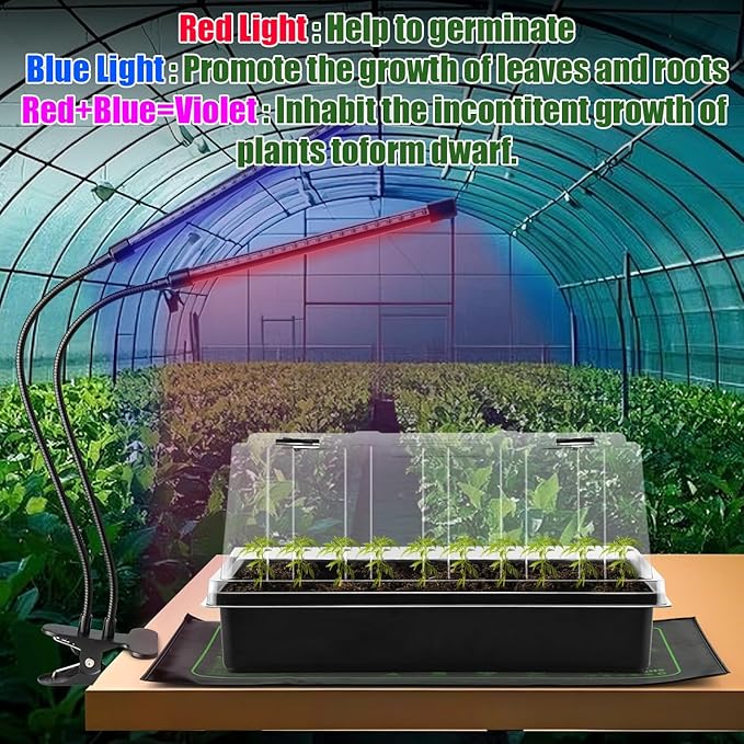 Seed Starter Tray with Grow Lights – 4 Pack Seedling Trays with 5" Humidity Domes & 4 LED Light Heads, Adjustable Timer, Full Spectrum for Indoor Germination, Herbs, Vegetables, Flowers - Image 5