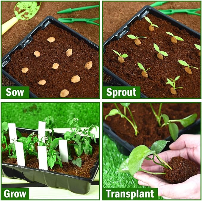 YoleShy 5 Packs Seed Starter Tray with Dome Reusable Plastic Plant Growing Trays with Humidity Domes Thickened Sturdy for Seed Starting Germination Growing Seedling Propagation,14.5"x9" - Image 6
