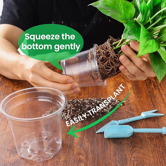 36 Packs 5/4/3.5 Inch Reinforced Clear Nursery Pots with Drainage Hole, Transparent Variety Pack Plastic Plant Pot Seedling Planter for Vegetable Propagation, Root Cutting, Seed Starting - Image 5