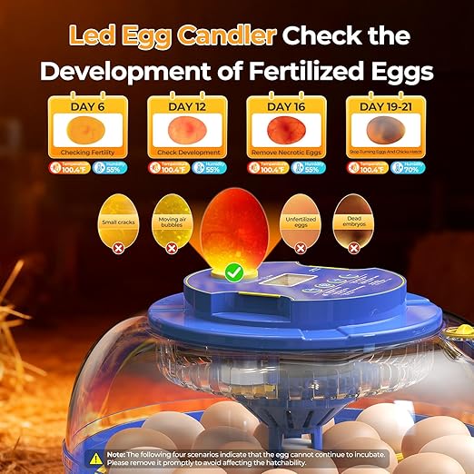 18 Egg Incubators for Hatching Eggs, 360° View with Automatic Egg Turning & Humidity Control, Built-in Egg Candler for Hatching Chicken, Duck, Goose, Quail, Ideal for Home, Classroom, Laboratory, Farm - Image 6