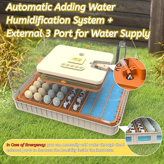 Egg Incubator for Hatching 56-154 Chicken/Quail/Turkey Eggs, 360° View Poultry Incubators with Automatic Egg Turning/Humidity Control&Alarm/Auto Water Adding/Adjustable Tray, for Beginner/Farm/Home - Image 5