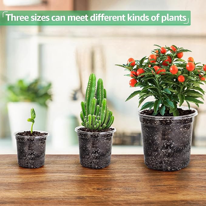 36 Packs 5/4/3.5 Inch Reinforced Clear Nursery Pots with Drainage Hole, Transparent Variety Pack Plastic Plant Pot Seedling Planter for Vegetable Propagation, Root Cutting, Seed Starting - Image 6
