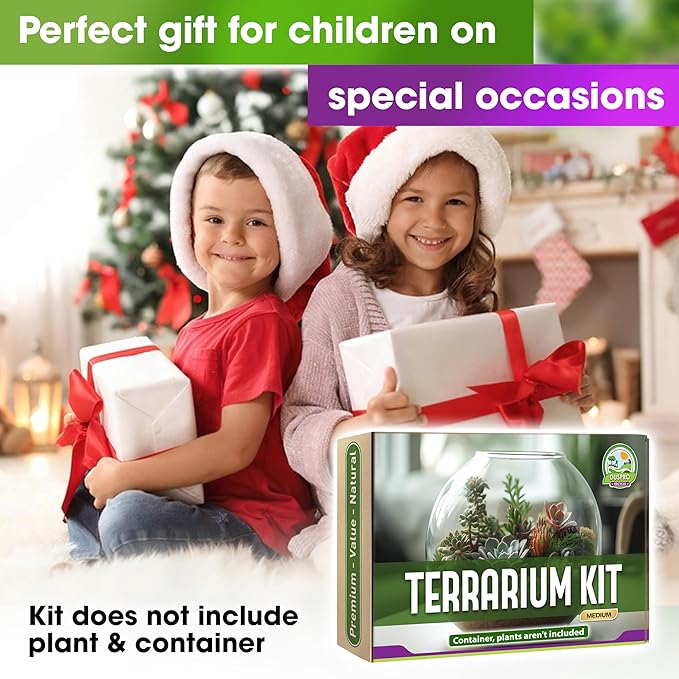 DUSPRO Recycle Terrarium Kit, Include Potting Soil, Pumice, Zeolite, Green Moss, Sphagnum Moss, Decorative Stone, Mesh, Tools, DIY Terrarium Kit for Kids, Air Plant, Succulent - Image 6