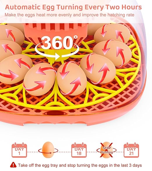 12 Egg Incubator for Hatching Eggs, Smart Temperature and Humidity Control, Automatic Egg Turning, Incubator for Hatching Chicken, Quail, Duck Eggs, 360° Clear View for Home, Classroom, Farm - Image 3