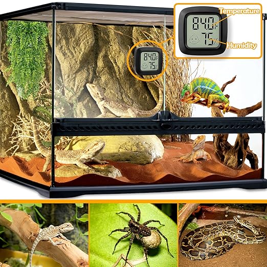 2 PCS Reptile Thermometer and Humidity Gauge for Bearded Dragon with On-Off, Reptile Tank Accessories for Jumping Spider, Leopard Gecko, Hermit Crab, Gecko, Ball Python, Lizard - Image 2