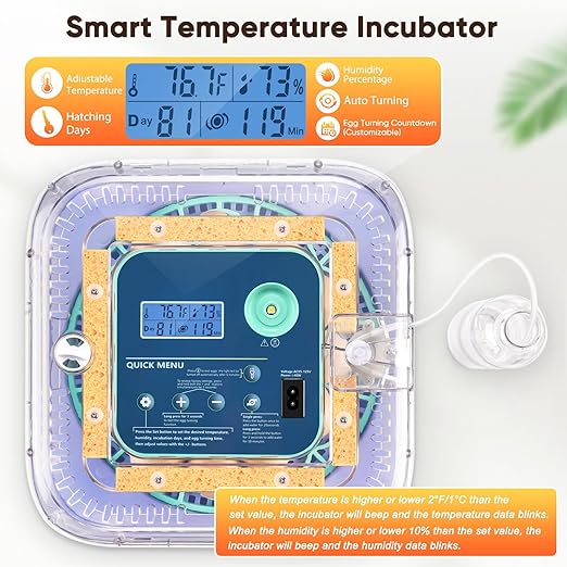 Incubators for Hatching Eggs, Smart Egg Incubator with Humidity & Temp Control and Auto Turner, 360° View Incubadora De Huevos De Gallina, Egg Candler, Incubator for Chicken Eggs, Ducks, Goose, Quail - Image 2