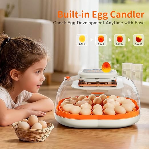 25 Egg Incubator, Extra-Large Interior with High Protective Wall, Top Carry Handle, Automatic Egg Turner, Preset Incubation Period, Auto Water Refill, for Chicken, Quail & Duck Eggs, APDOE HatchPro 25 - Image 6