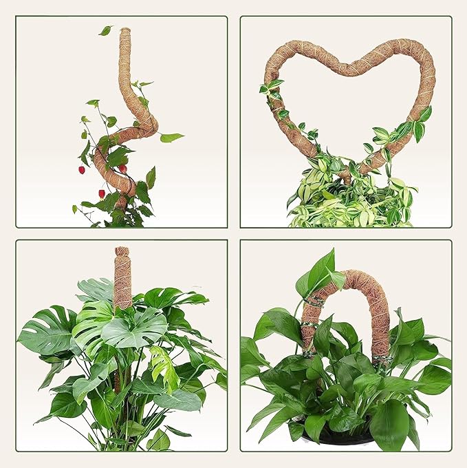 Moss Pole Monstera Plant Support – 48” Bendable Moss Pole Monstera Plant Support, Plant Stakes for Indoor Plants, Tall Plant Sticks Support for Climbing Plants - Image 6