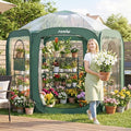 Porayhut Pop up Greenhouse Tent,Portable Large Walk-in Plant House 10’X10’ ,Indoor Outdoor Gardening Plant Sunshine Room with PVC Mesh Cloth Cover for Protecting Plant from Cold Frost & Birds by porayhut