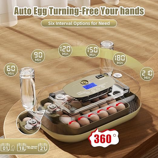 XOTTI Incubator for Hatching Eggs, 24 Egg Incubator with Precise Temperature Control, Auto Egg Turner, 360° Clear View, LED Candler, Alarm for Chicken Duck Quail Goose for Home School Farm Lab - Image 5