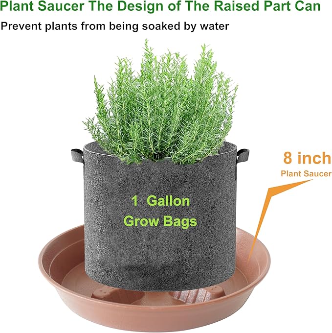 4 Pack Plant Saucer 8 inch, 10 12 14 17 inch, Plant Stand Plastic Plant Saucers for Indoors Outdoor, Heavy Duty Flower Planter Drip Trays for Pots, Pot Saucers for Plants, Grow Bags Saucers - Image 4