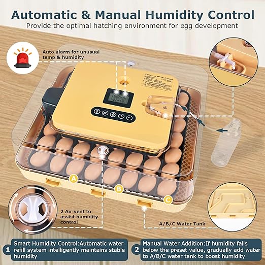 Incubators for Hatching Eggs, 56 Eggs Incubator with Egg Candler, Auto Egg Turner, Temp & Humidity Control, Hatch Day, 360° Viewing for Chicken, Duck, Quail Eggs, Ideal for Farm, School and Lab - Image 3