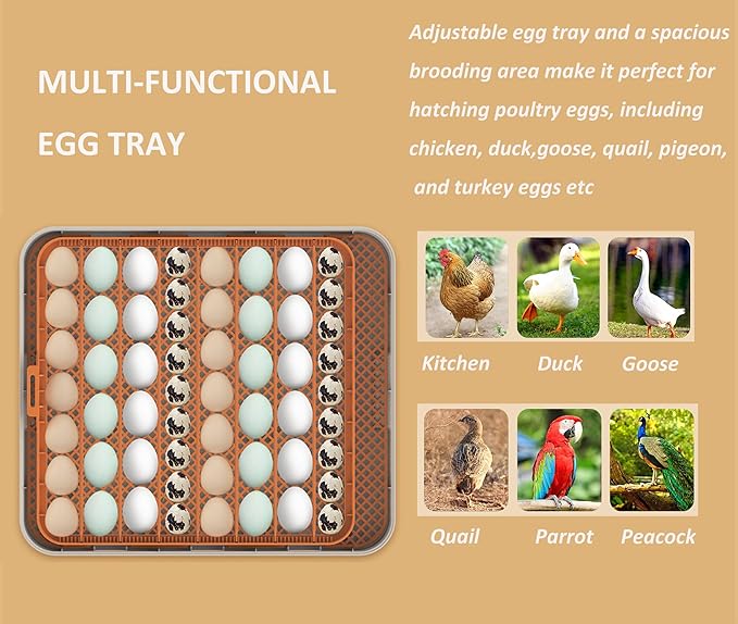 Egg Incubator for Hatching Eggs, Intelligent 56 Eggs Incubator with Temperature & Humidity Control, Automatic Egg Turning, Hatch Days & Egg Candler, Adjustable - Image 3
