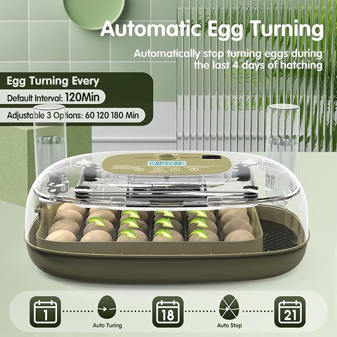 24 Egg Incubator with Automatic Turning, Temperature and Humidity Control, LED Egg Candler, and Auto Water Addition, for Hatching Chicken, Goose, Duck, Quail, Pigeon, and Turkey Eggs - Image 5