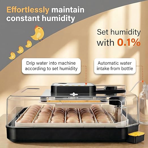 Sailnovo 48 Egg Incubator for Hatching Eggs with Auto Egg Turning, Precision Temp & Humidity Control, 360°Viewing, Egg Candler, Incubator for Chicken Eggs/Duck/Quail,Ideal for Farm/School/Lab,Gray - Image 2