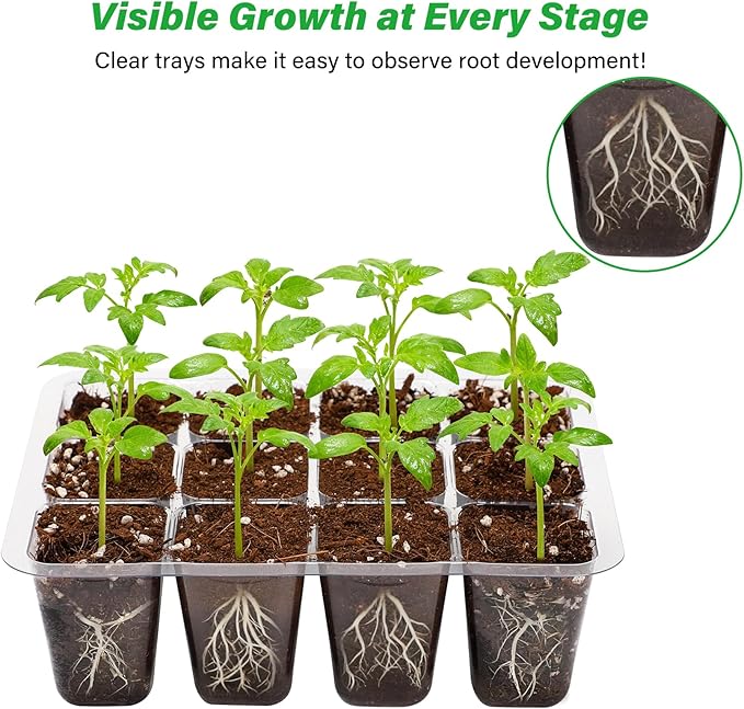 Bonviee 12 Packs Seed Starter Tray with Drainage Holes, Reusable & Durable, Clear for Root Monitoring, Easy to Repotted Without Root Damage, 12 Cells per Tray - Image 2