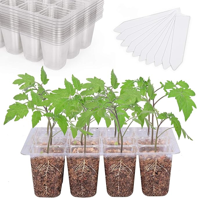 Bonviee 12 Packs Seed Starter Tray with Drainage Holes, Reusable & Durable, Clear for Root Monitoring, Easy to Repotted Without Root Damage, 12 Cells per Tray by BonvieeDirect