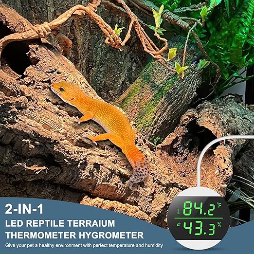 USB Power Supply LED Digital Reptile Thermometer Hygrometer, 10s Refresh Speed, 1.8 High Precision, Terrarium Thermometers - Image 2