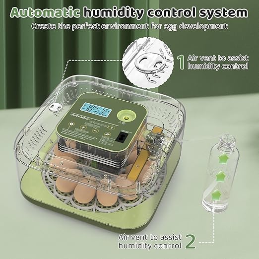 Incubators for Hatching Eggs 12 Egg Digital Egg Incubator Precision Auto Temp Humidity Control 6 Gear Adjustable Auto Turner Auto Stop Turning Hatching Days Display for Chicken Duck Goose Eggs - Image 6
