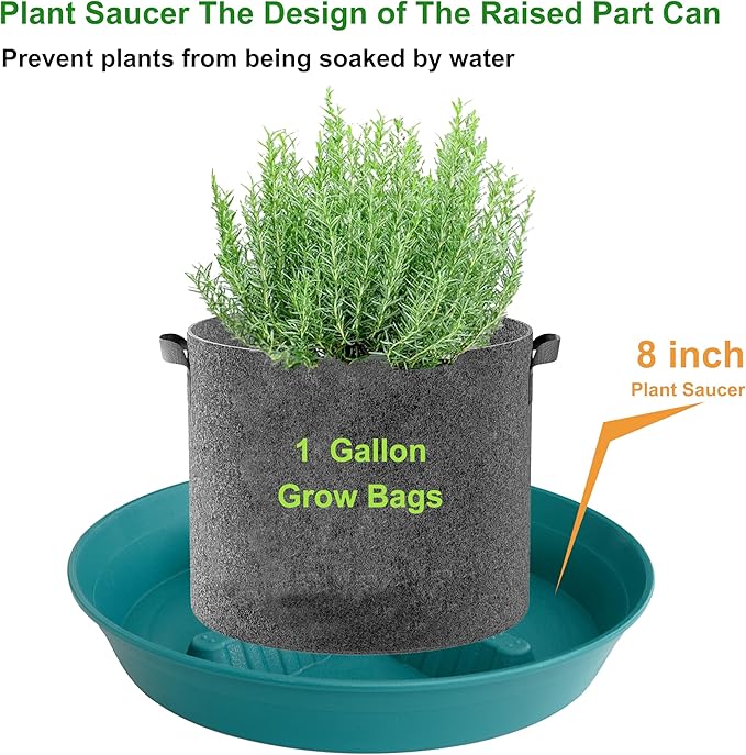4 Pack Plant Saucer 8 inch, 10 12 14 17 inch, Plant Stand Plastic Plant Saucers for Indoors Outdoor, Heavy Duty Flower Planter Drip Trays for Pots, Pot Saucers for Plants, Grow Bags Saucers - Image 4