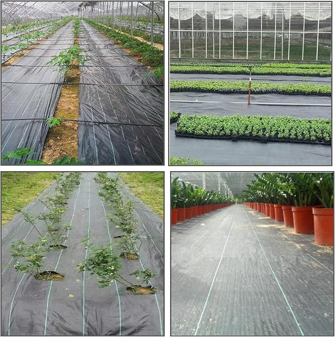 Weed Barrier Fabric Planting Cover - 6 x 150 FT Heavy Duty Landscape Fabric Ground Cover Block for Outdoor Planting - Image 7