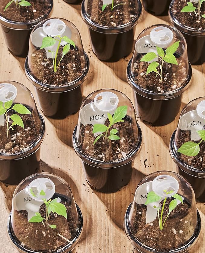 homenote Nursery Pots for Plants,3 Inch Plant Pot for Planting with Humidity Domes Plastic Seedling with Drainage Holes Seed Starter Flower with 10 Labels Black (30 Pack) - Image 3