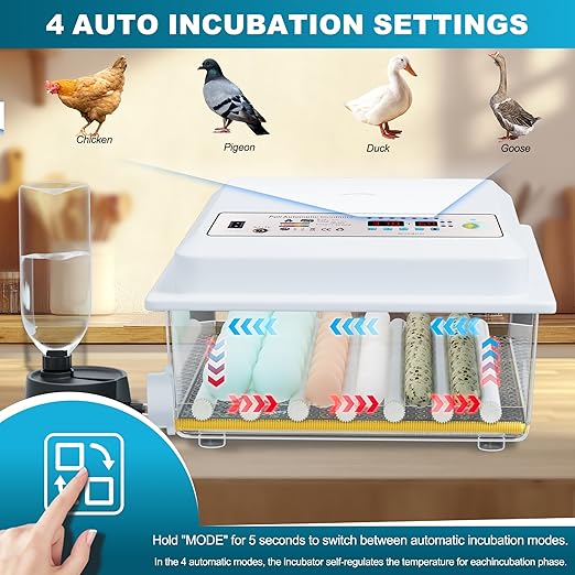 Incubators for Hatching Eggs, 36 Egg Incubator with Automatic Egg Turning and Humidity Control, Chicken, Duck, Goose, Bird, Quail, Incubator for Farm, Lab, Home（White） - Image 5