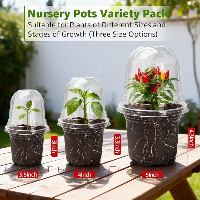 MIXC Clear Nursery Pots with Humidity Domes, 5/4/3.5 Inch Reinforced Transparent Plastic Pots for Planting with Drainage Holes, for Tomato Seedlings, Cactus, and Herbs, 30 Pack - Image 7