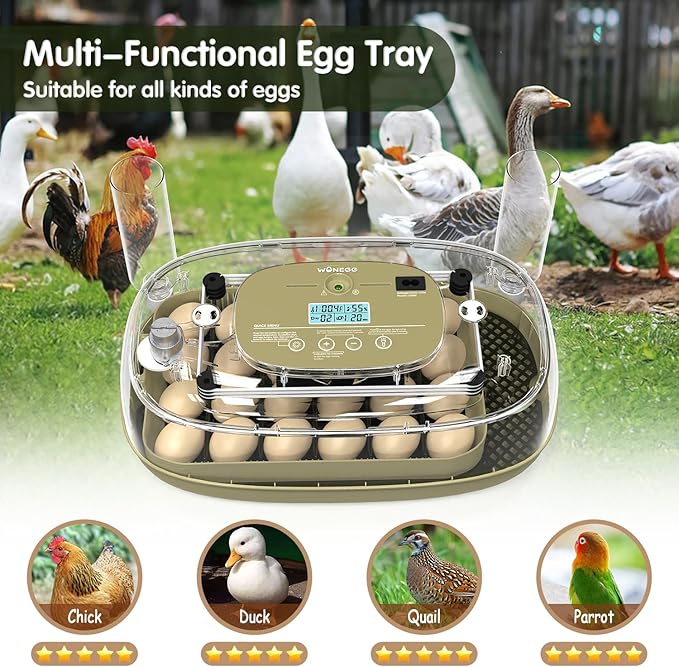 24 Egg Incubator with Automatic Turning, Temperature and Humidity Control, LED Egg Candler, and Auto Water Addition, for Hatching Chicken, Goose, Duck, Quail, Pigeon, and Turkey Eggs - Image 7