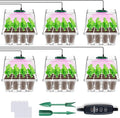 YAUNGEL Seed Starter Tray with Grow Light, 6 Pack Seed Starter Kit with Timing Controller Adjustable Brightness, Thicken Seedling Starter Trays with Humidity Domes Heightened Lids, Transparent by YAUNGEL