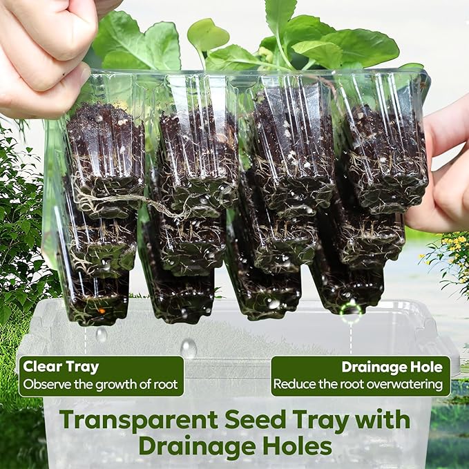 MIXC Seed Starter Kit with Grow Light, Elevated Seedling Tray Kit with Adjustable Humidity Dome and Clear Cell Tray, 12 Full Spectrum Led Beads for Seed Starting Greenhouse, 6 Pack, Transparent - Image 4