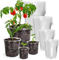 36 Packs 7/5/4/3.5 Inch Reinforced Clear Nursery Pots with Drainage Hole, Transparent Variety Pack Plastic Plant Pot Seedling Planter for Vegetable Propagation, Root Cutting, Seed Starting by Bluepro