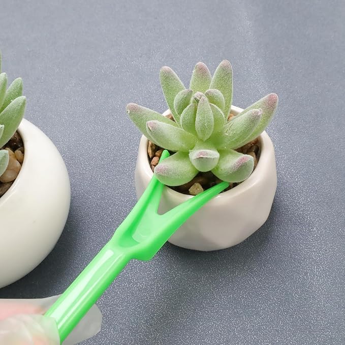 Antrader Mini Garden Hand Succulent Transplanting Tools for Indoor Gardening Plant Care, Set of 6, Green - Image 4