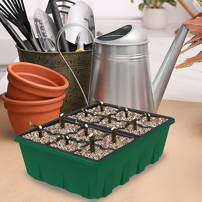 Gardzen 10-Set Garden Propagator Set, Black Seed Tray Kits with 120-Cell, Seed Starter Trays with Dome and Green Base 6.6" x 4.5" (12-Cell Per Tray) - Image 6