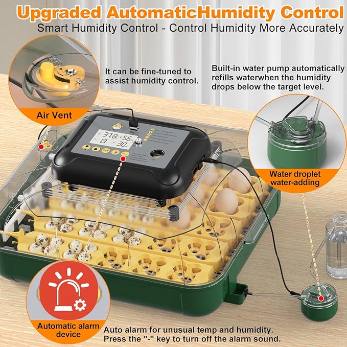 30 Egg Incubator for Hatching Eggs with Automatic Egg Turning, Temperature & Humidity Display, Hatch Day Countdown, Auto Water Refilling System, Egg Candler, Multifunctional Egg Tray for Chicken - Image 3