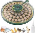 52 Egg Incubator with Automatic Egg Turning and Humidity Control,360 Degree View with Clear Window, Incubators for Hatching Eggs, Chicken, Ducks, Goose, Pigeon, Quail, Parrot by Unknown