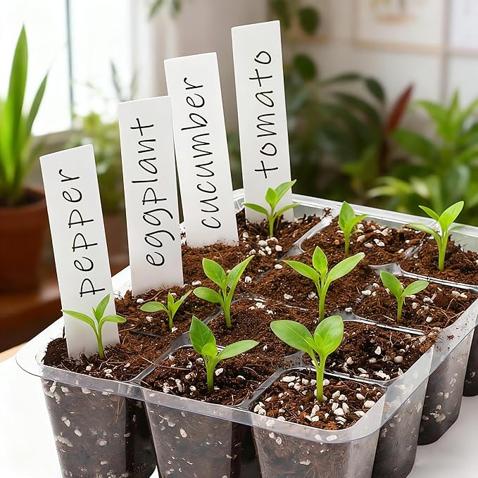 Bonviee 12 Packs Seed Starter Tray with Drainage Holes, Reusable & Durable, Clear for Root Monitoring, Easy to Repotted Without Root Damage, 12 Cells per Tray - Image 7