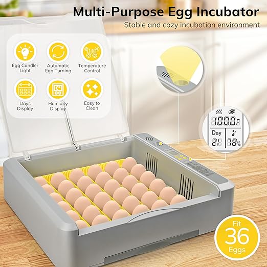 36-60 Egg Incubator with Automatic Egg Turning and Humidity Control, Chicken Egg Incubator with Digital Display, Adjustable Egg Incubators for Hatching Eggs Include Chicken Duck Quail Eggs - Image 2