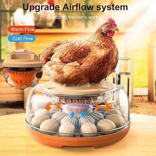 18 Egg Incubator, Automatic Turning with Temperature & Humidity Control, Egg Candler, 360 View with Air Vent, Auto Water Bottle Refill, Chicken Incubator for Hatching Eggs - Image 4