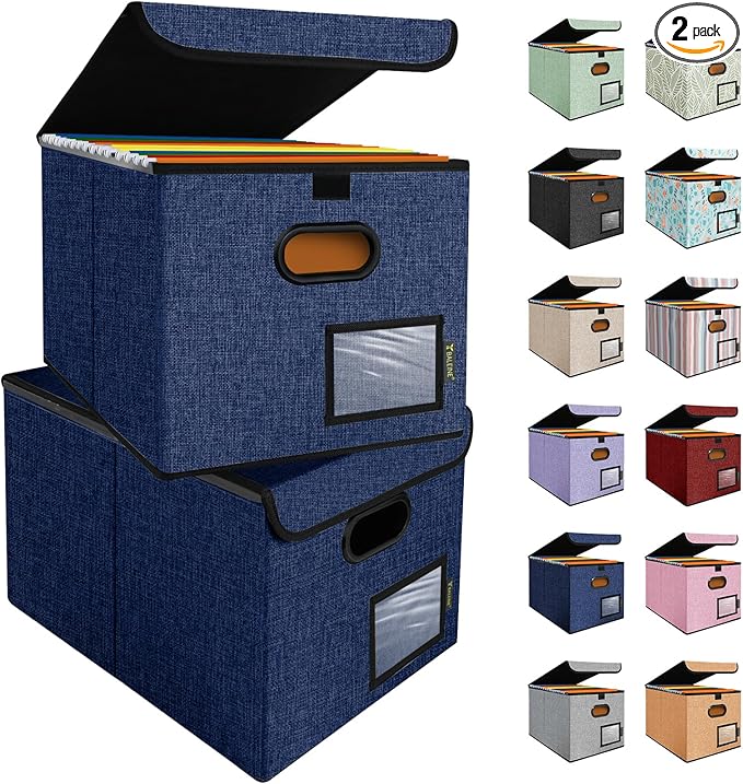 BALEINE File Organizer Box with Lid, Collapsible File Folder Organizer with Plastic Slide, Hanging File Folder Box for Office Document Storage (2 Pack, Blue) by BALEINE