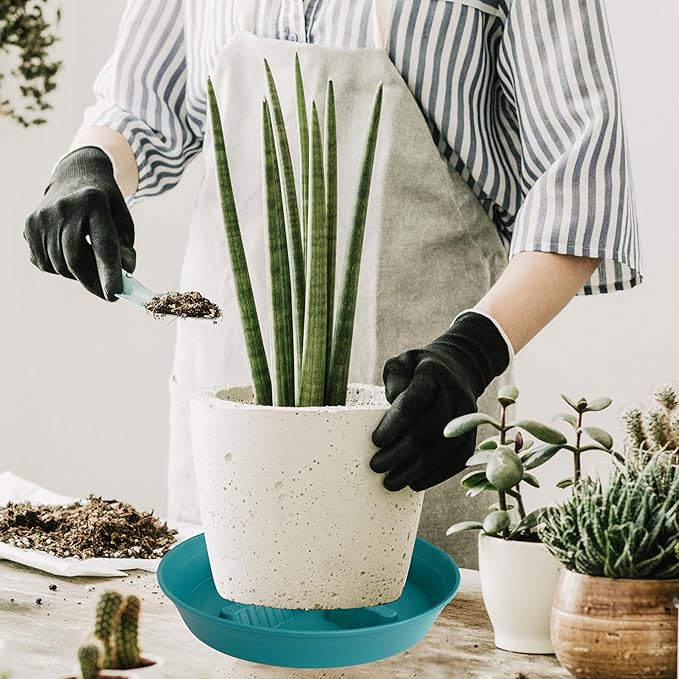 4 Pack Plant Saucer 8 inch, 10 12 14 17 inch, Plant Stand Plastic Plant Saucers for Indoors Outdoor, Heavy Duty Flower Planter Drip Trays for Pots, Pot Saucers for Plants, Grow Bags Saucers - Image 7