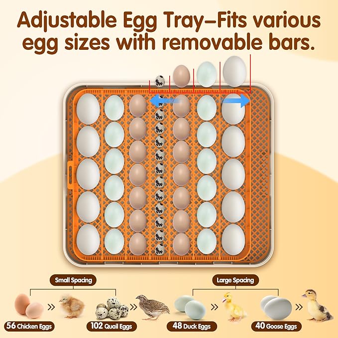 Incubator for Hatching Eggs, 56 Eggs Incubator with Automatic Egg Turning, Temperature & Humidity Control, LED Egg Candler, Incubation Days Display, for Chicken, Duck, Goose, Quail, Parrot Bird Eggs - Image 5