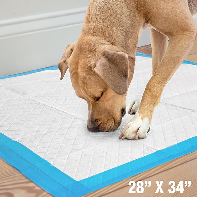 Four Paws Wee-Wee Superior Performance Unscented Extra-Large Pee Pads for Dogs & Puppies, Quilted Leak-Proof Dog Housebreaking Potty Training Floor Protection, 28" x 34", 40 Count - Image 8