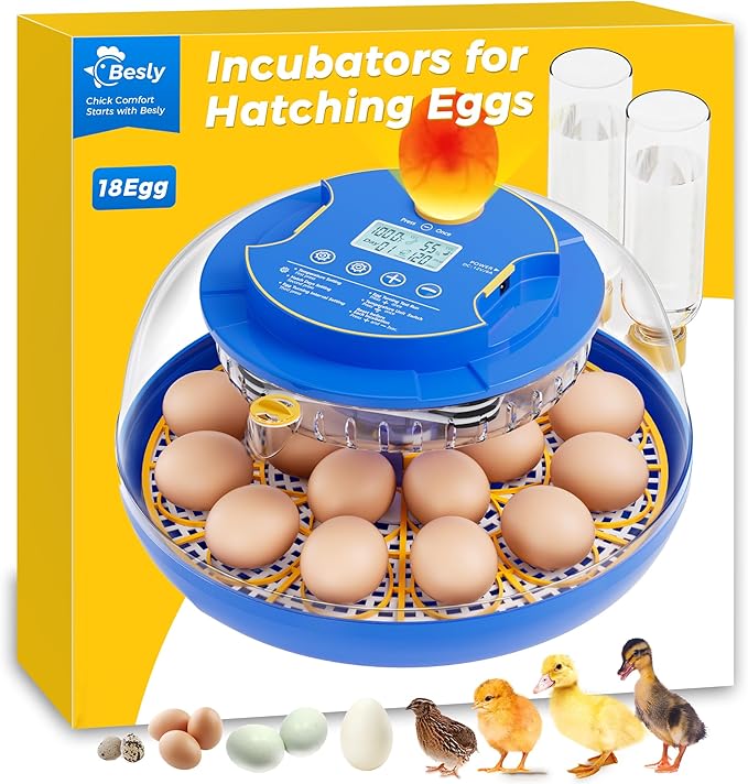 18 Incubators for Hatching Eggs, Automatic Egg Turning and Humidity Control, 360 View, Suitable for Chickens, Ducks, Quails, and Other Birds by Besly