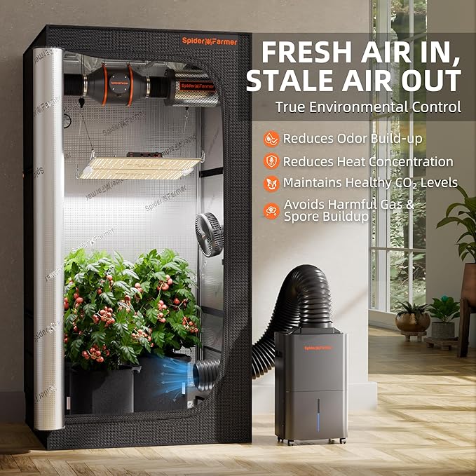 SPIDER FARMER Dehumidifier,32 Pints Plant Dehumidifier with Drain Hose,Temperature & Humidity Sensor Probe,24H Timer Function, Compressor Entfeuchter for Grow Tent,Home and Basement - Image 5