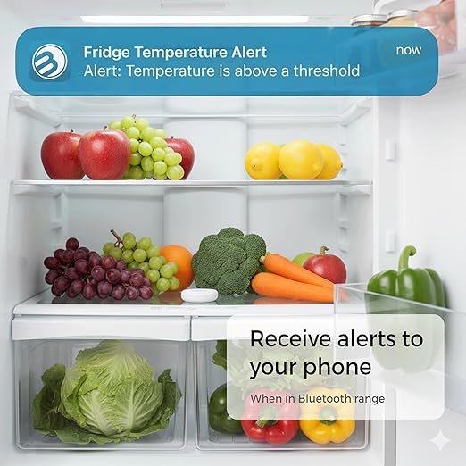 Temperature and Humidity Monitor - 3-in-1 Wireless Indoor/Outdoor Hygrometer with Dew Point, Bluetooth Enabled Data Logging, High-Precision Sensor - Outdoor/Indoor Humidity Meter - Image 4