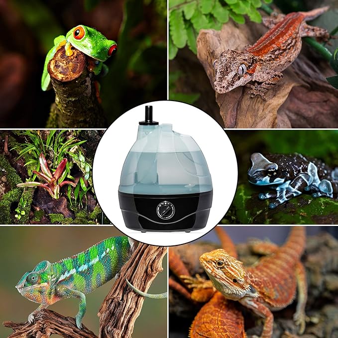 Evergreen Pet Supplies Reptile Fogger & Humidifier - Adjustable Fog Output for Mini Terrarium Fogger - 2 L Tank with Auto Shut-Off for Tortoise Humidifier - 2 L, Black/Clear - Image 8