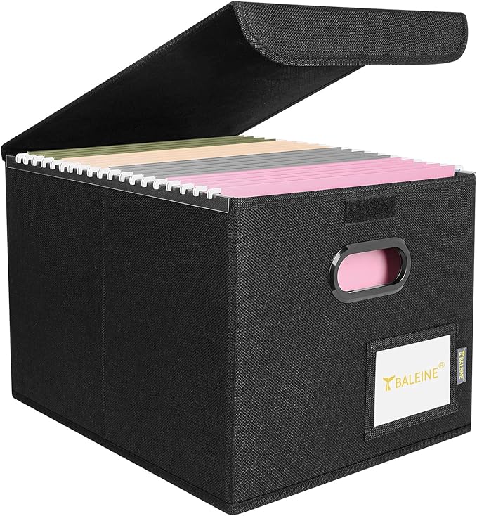 BALEINE File Organizer Box with Lid, Collapsible File Folder Organizer with Plastic Slide, Hanging File Folder Box for Office Document Storage (1 Pack, Black) by BALEINE